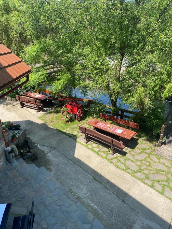 Pensiune Pastravarie La Pintea Haiducu Deseşti Esterno foto