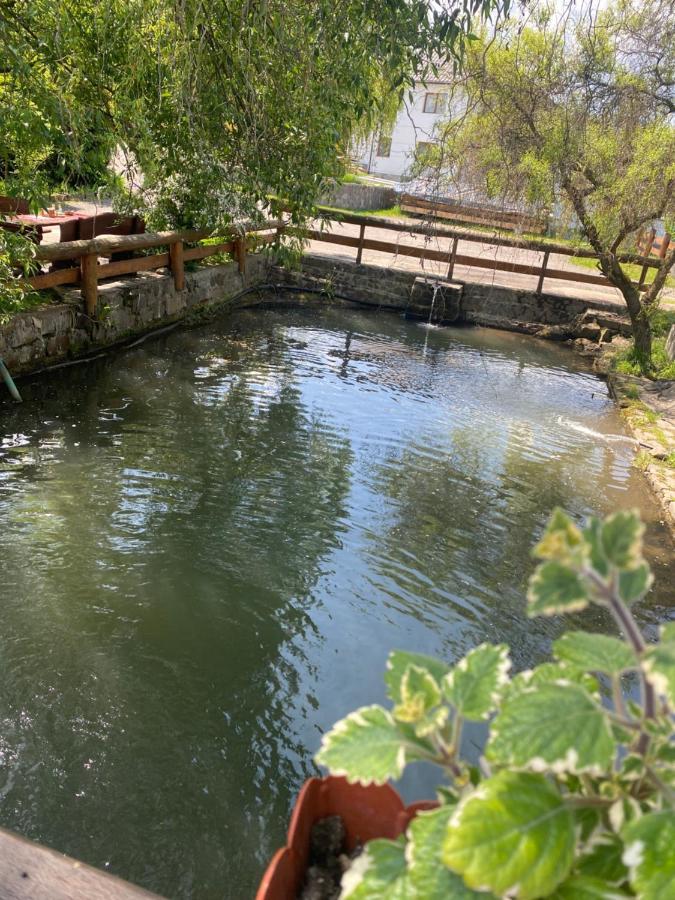 Pensiune Pastravarie La Pintea Haiducu Deseşti Esterno foto