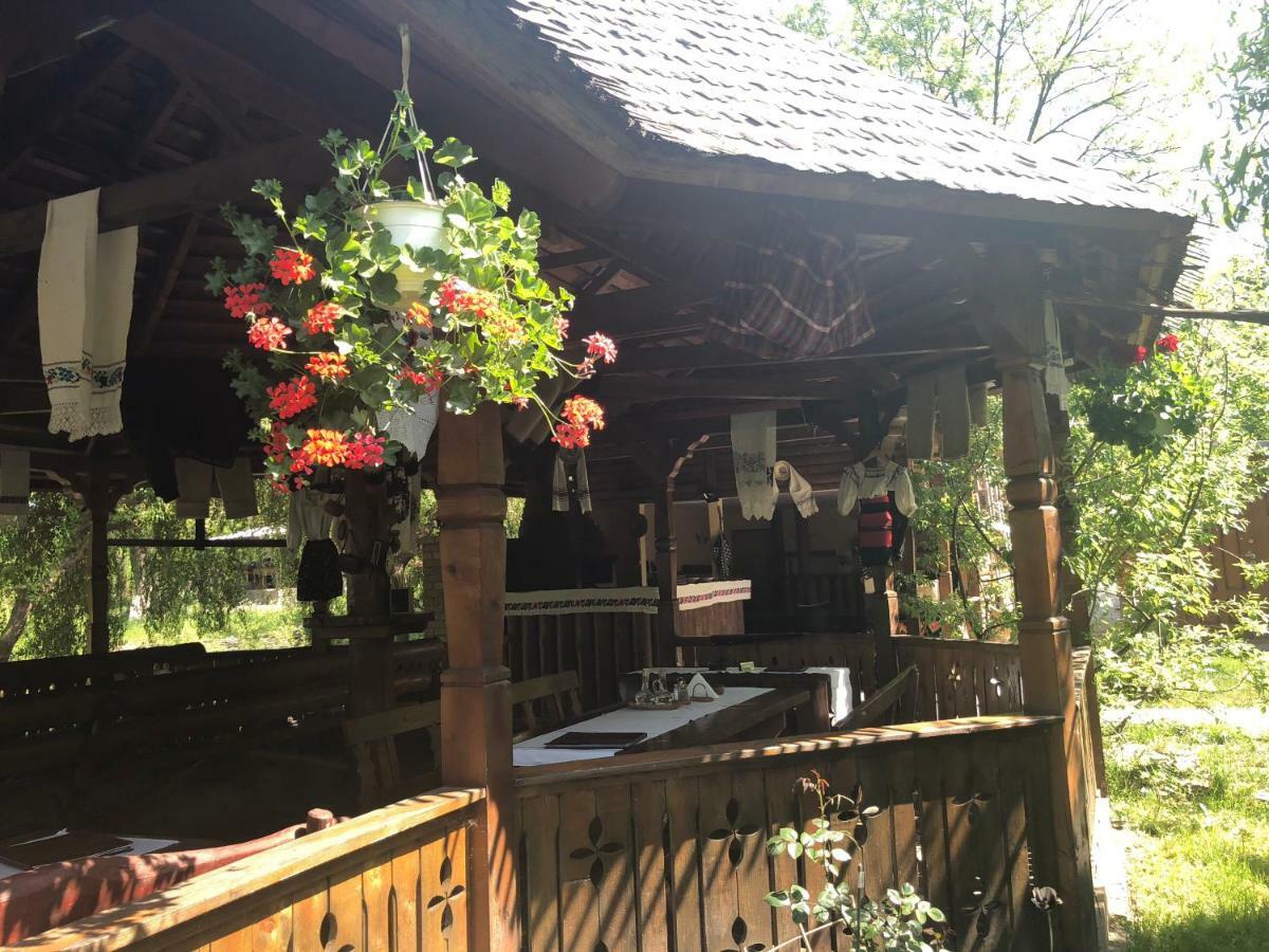 Pensiune Pastravarie La Pintea Haiducu Deseşti Esterno foto