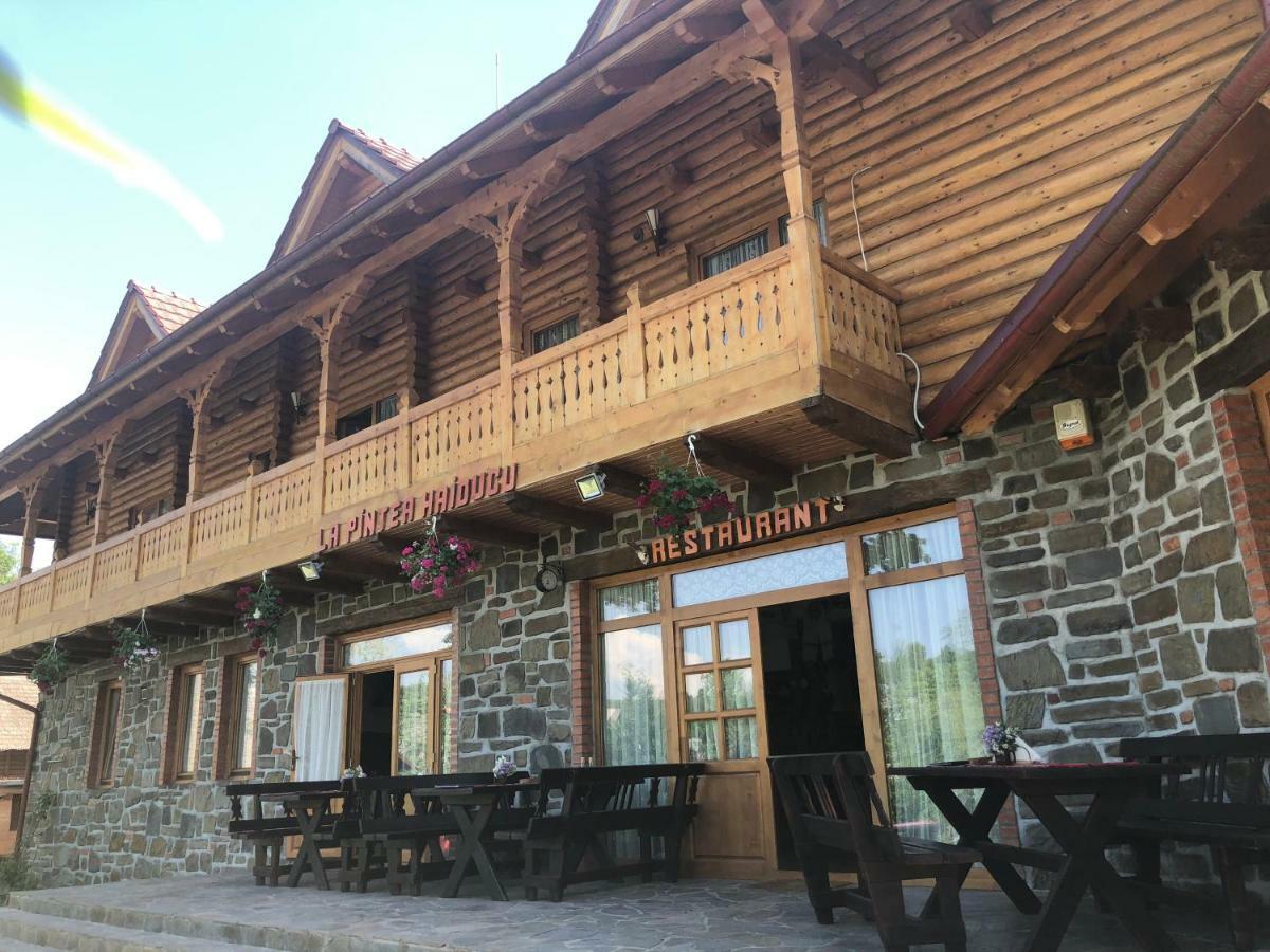 Pensiune Pastravarie La Pintea Haiducu Deseşti Esterno foto